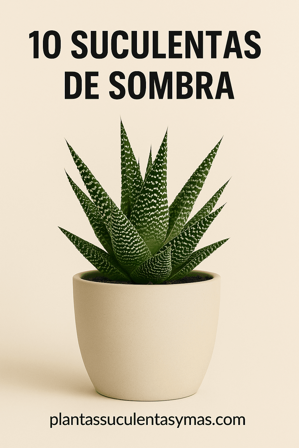 Cover Image for ¡Sorprendentes! 10 Suculentas que Crecen Perfectamente en la Sombra