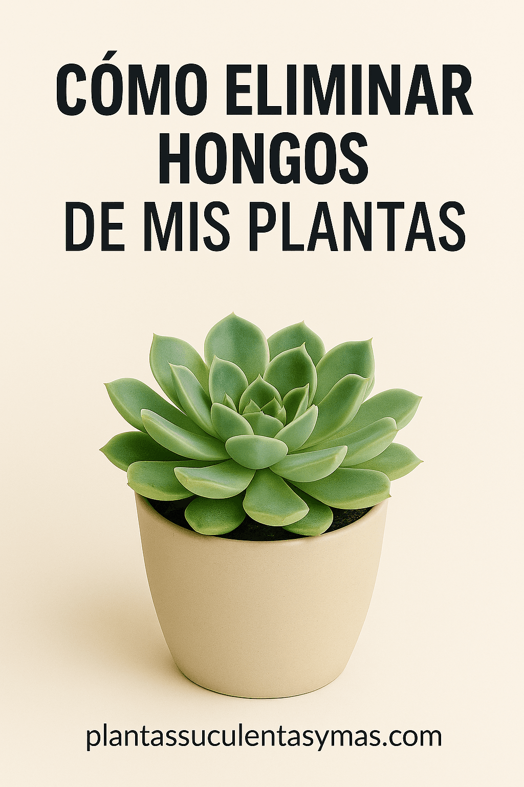 Cover Image for Cómo eliminar hongos de cualquier planta rápido, fácil y barato
